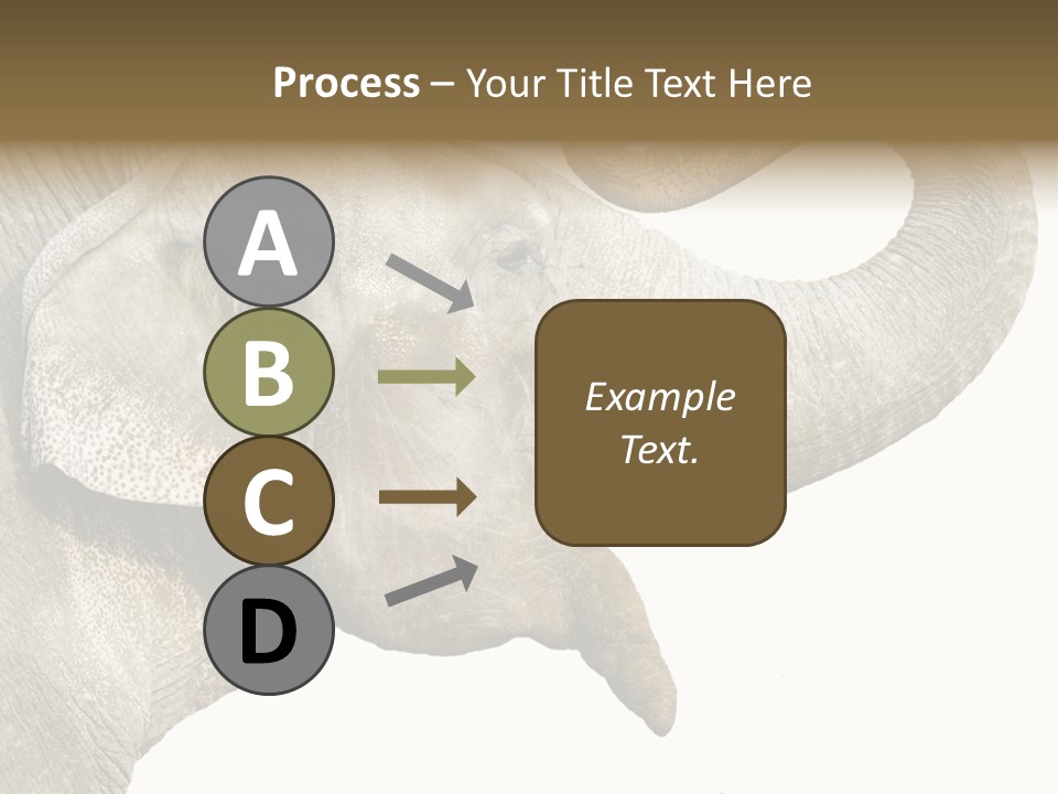 Wild Zoo Big PowerPoint Template