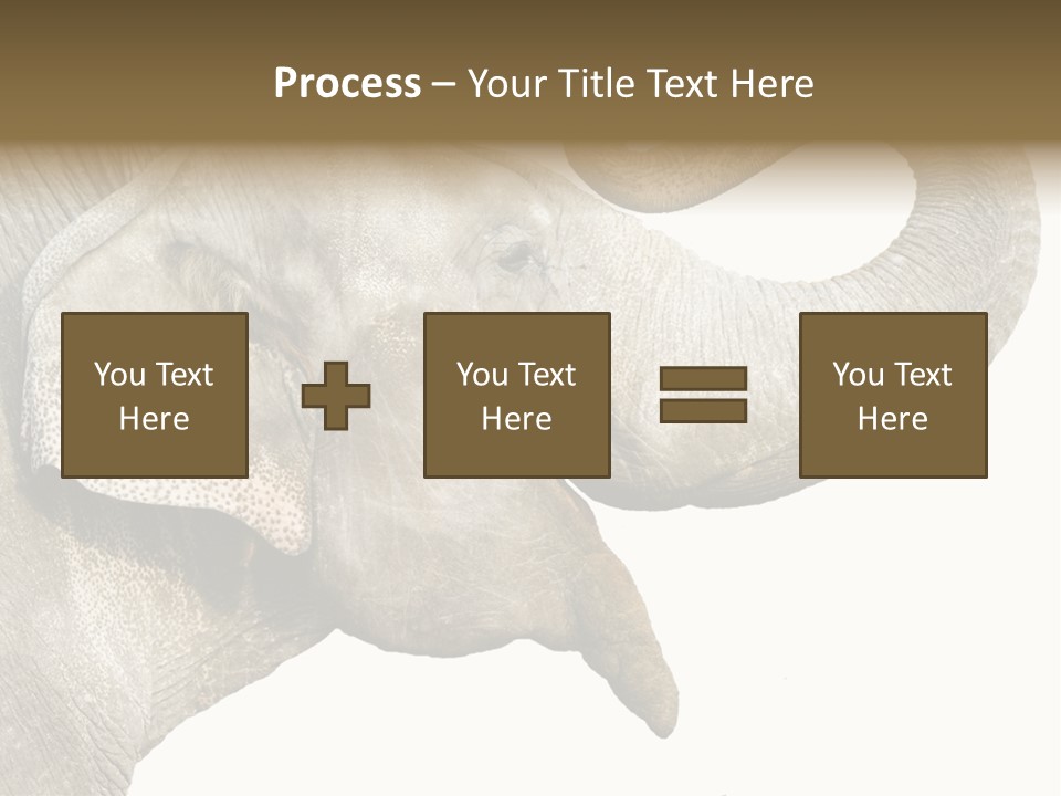 Wild Zoo Big PowerPoint Template