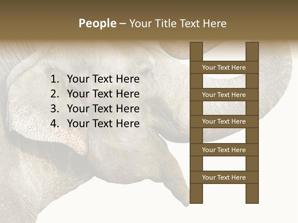 Wild Zoo Big PowerPoint Template