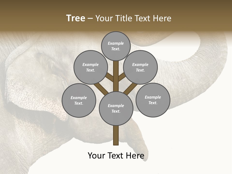 Wild Zoo Big PowerPoint Template