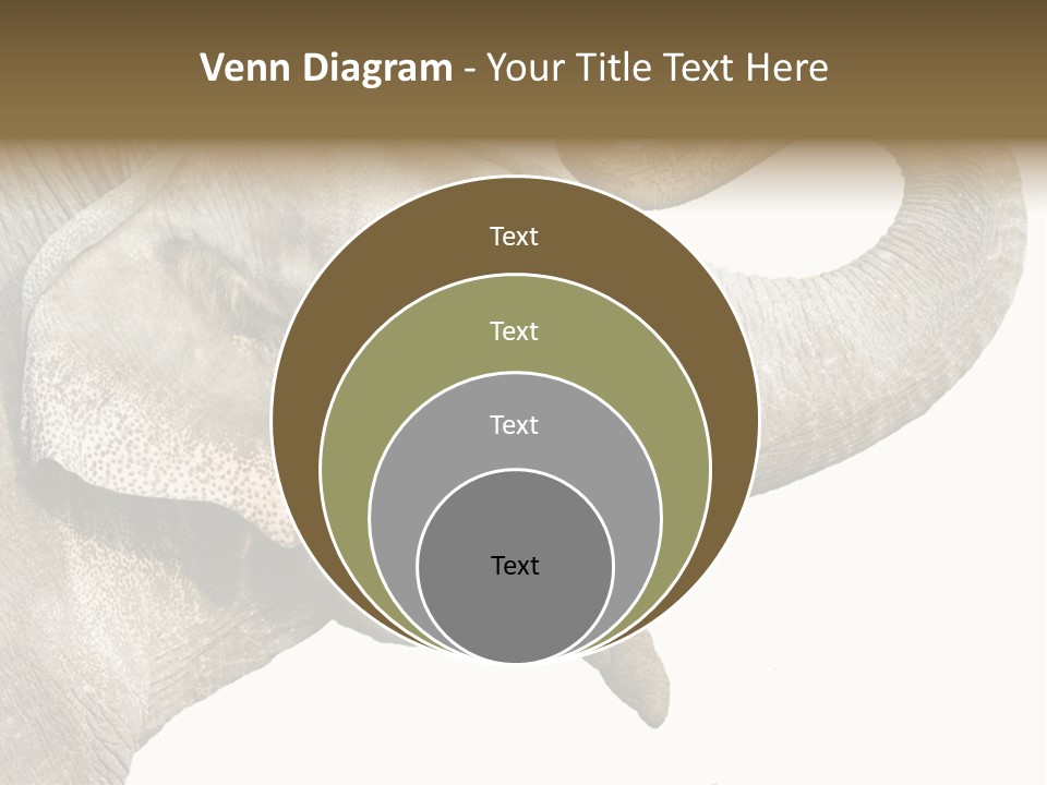 Wild Zoo Big PowerPoint Template