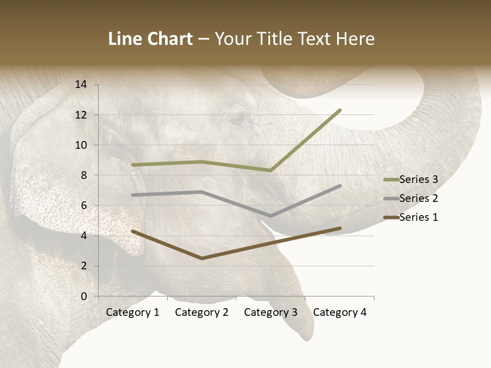 Wild Zoo Big PowerPoint Template
