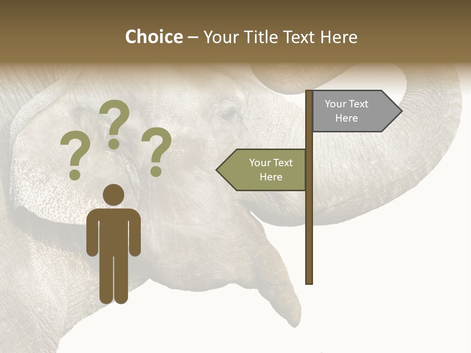 Wild Zoo Big PowerPoint Template