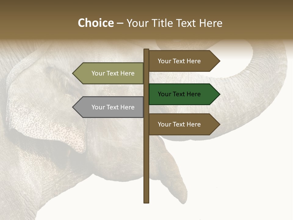 Wild Zoo Big PowerPoint Template