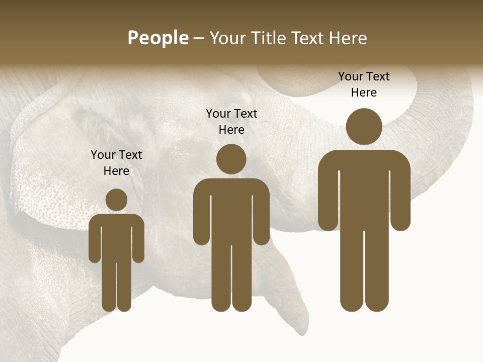 Wild Zoo Big PowerPoint Template