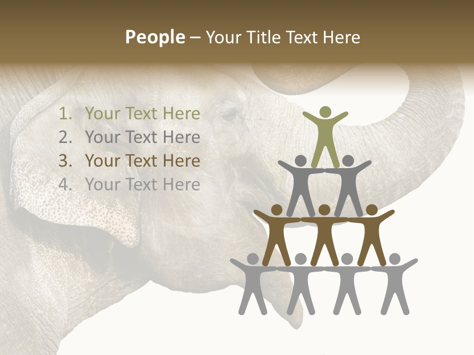 Wild Zoo Big PowerPoint Template