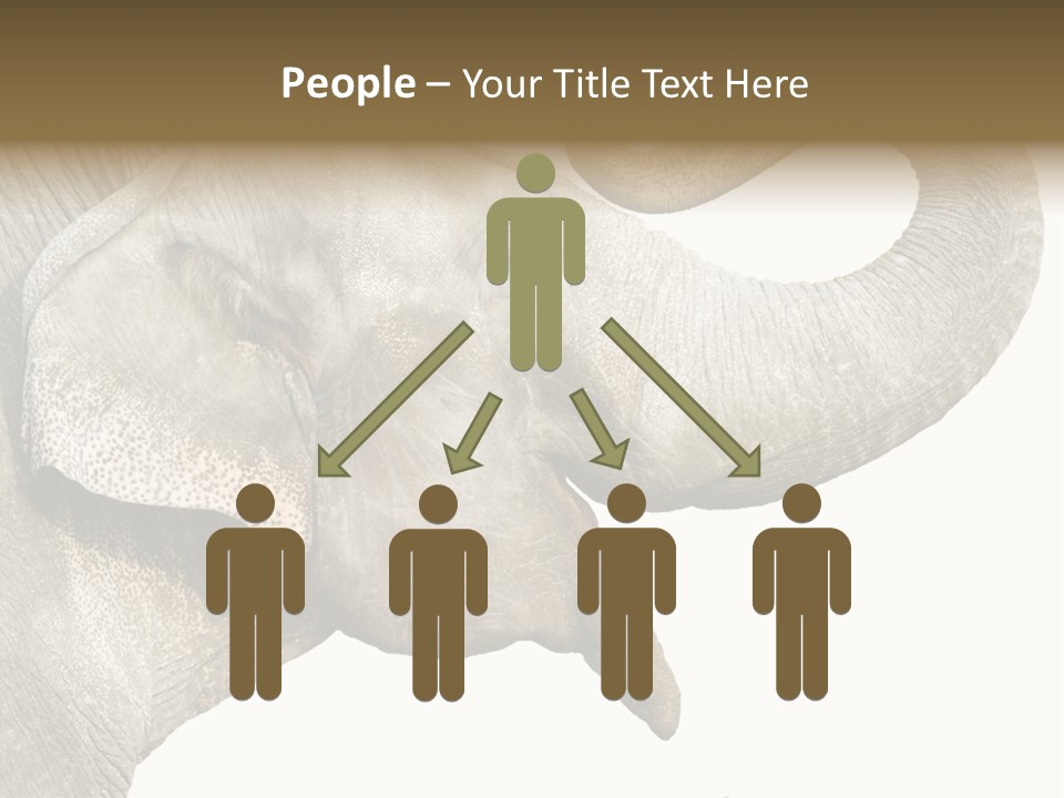 Wild Zoo Big PowerPoint Template