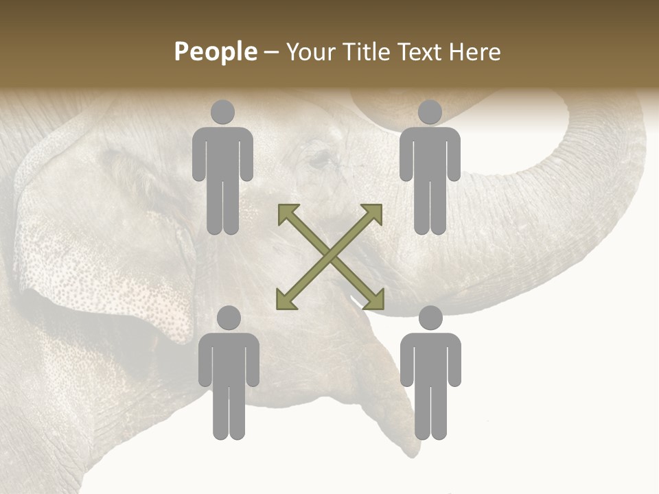 Wild Zoo Big PowerPoint Template