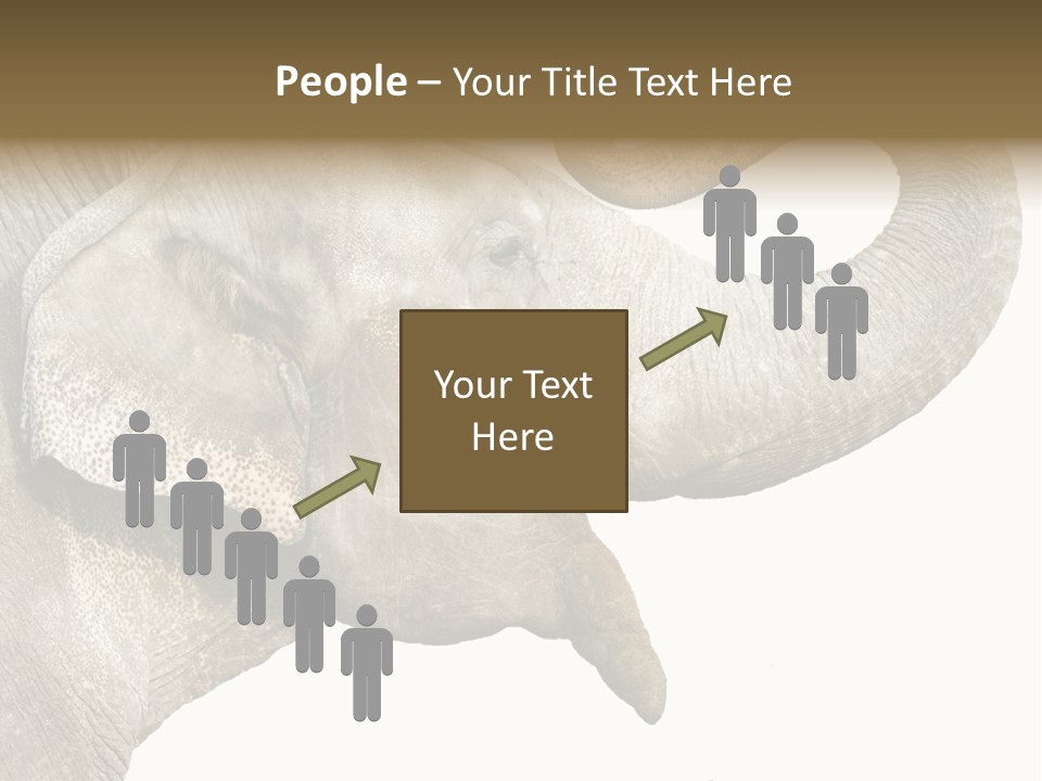 Wild Zoo Big PowerPoint Template