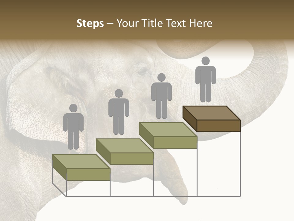 Wild Zoo Big PowerPoint Template