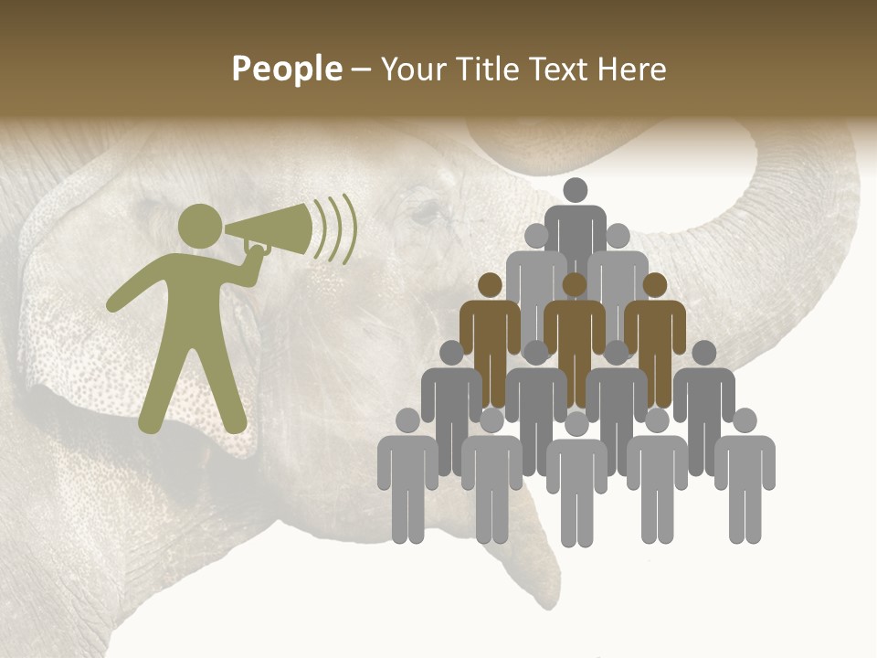 Wild Zoo Big PowerPoint Template