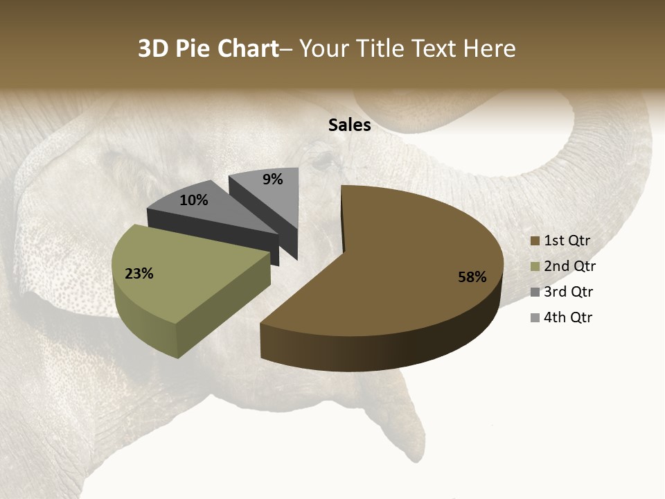 Wild Zoo Big PowerPoint Template