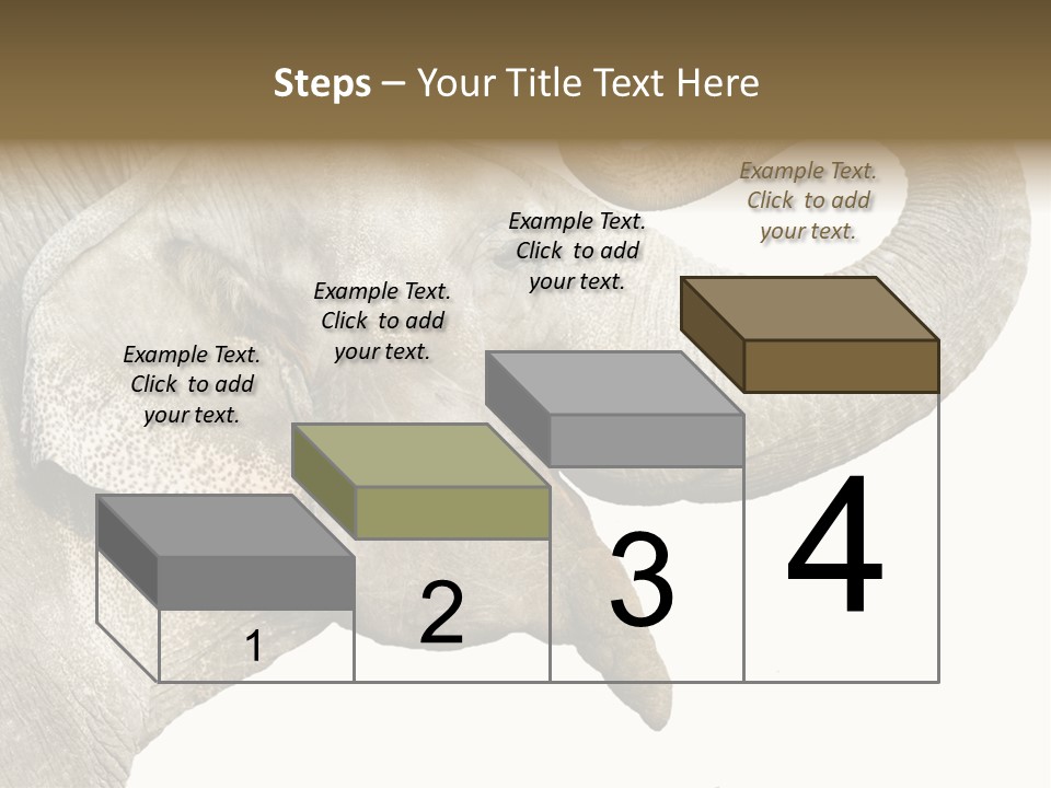 Wild Zoo Big PowerPoint Template