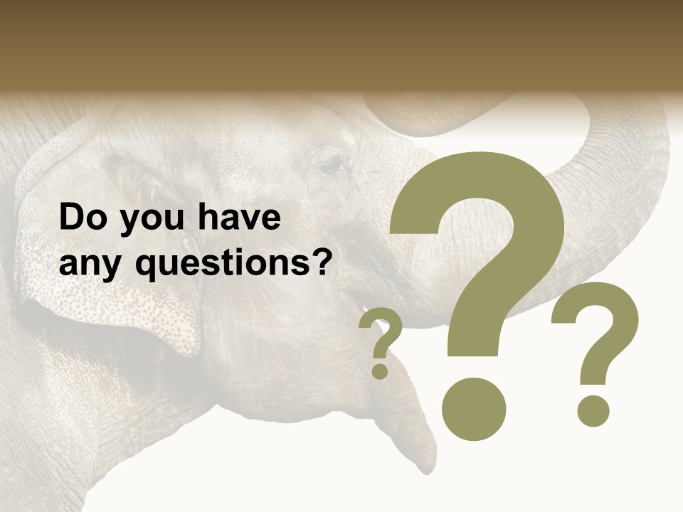 Wild Zoo Big PowerPoint Template