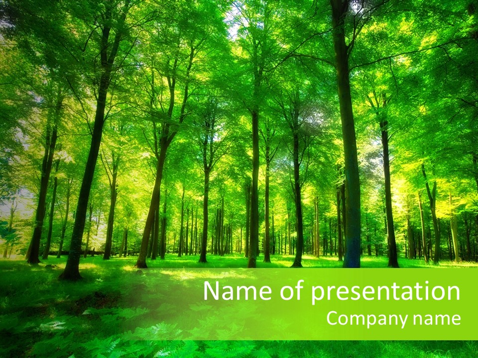 Bright Early Beautiful PowerPoint Template