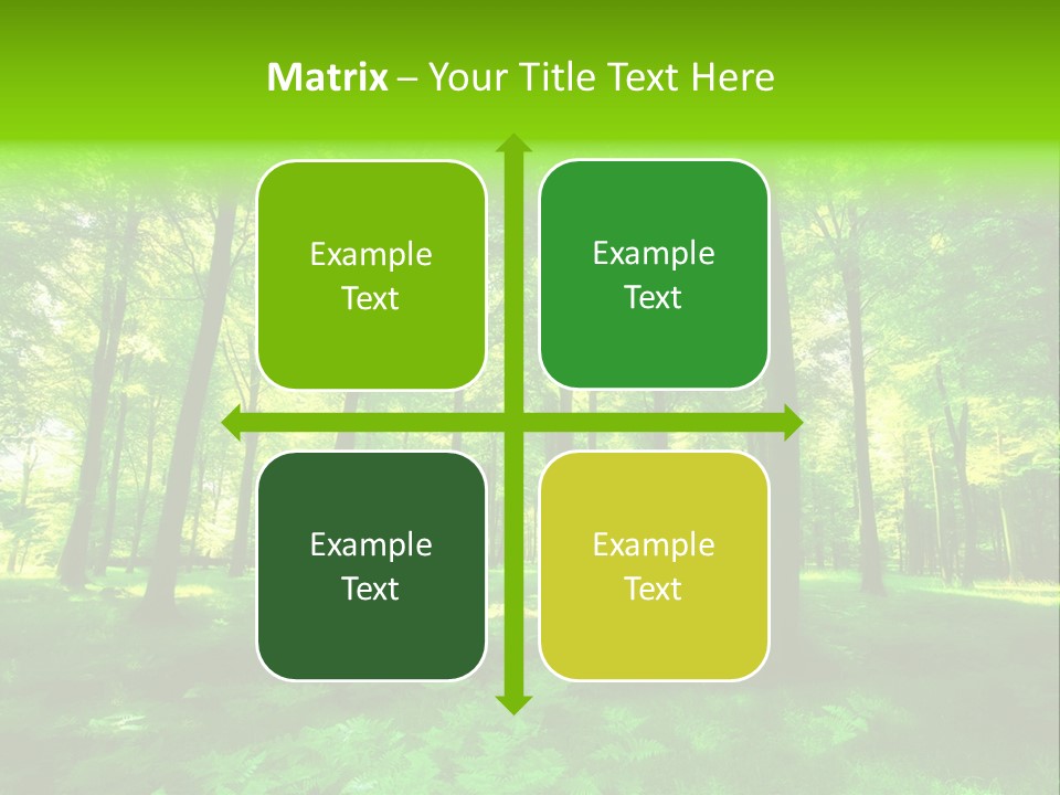 Bright Early Beautiful PowerPoint Template