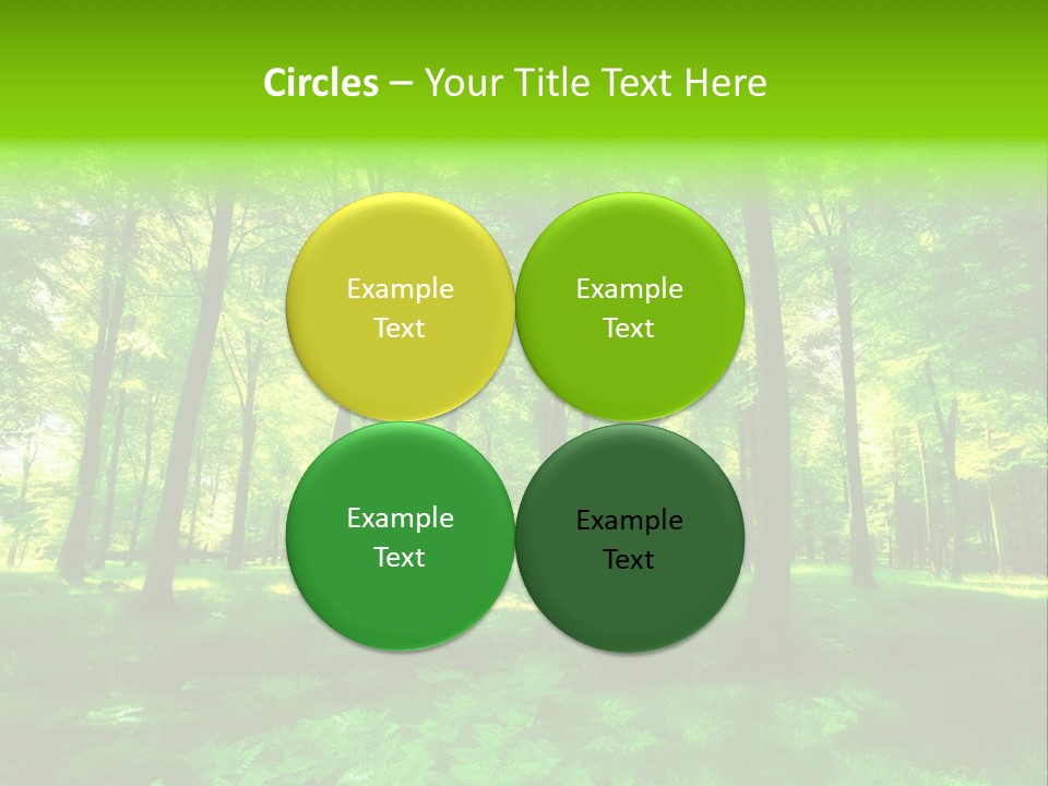 Bright Early Beautiful PowerPoint Template