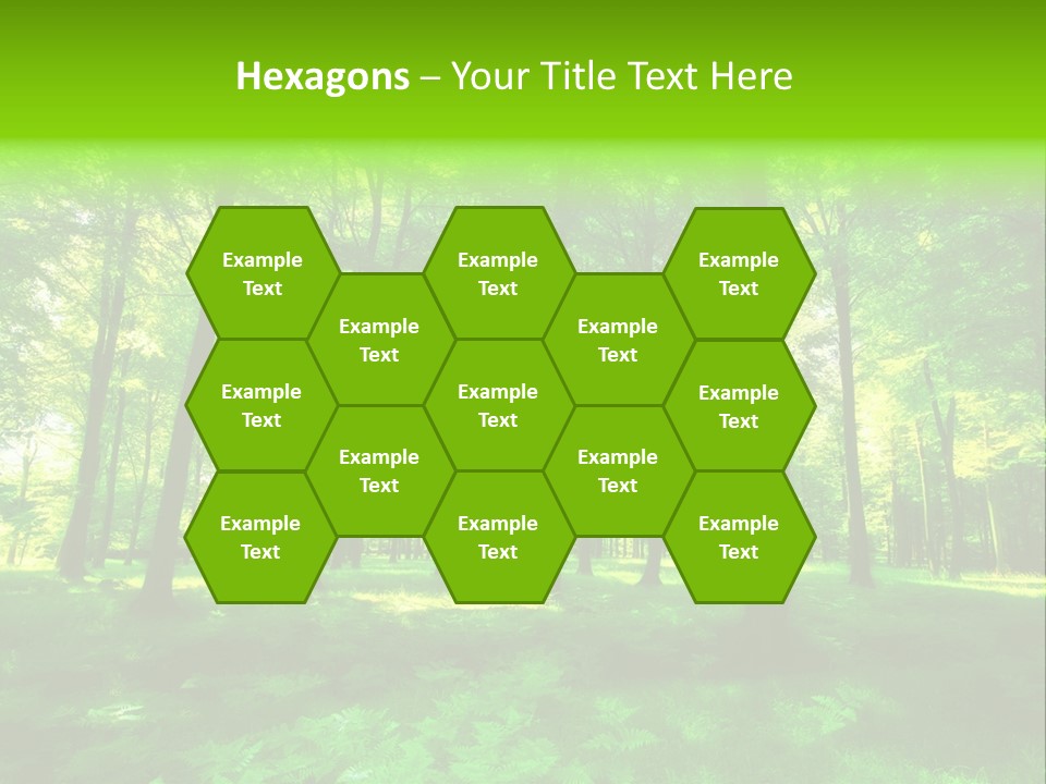 Bright Early Beautiful PowerPoint Template