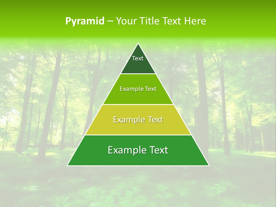 Bright Early Beautiful PowerPoint Template