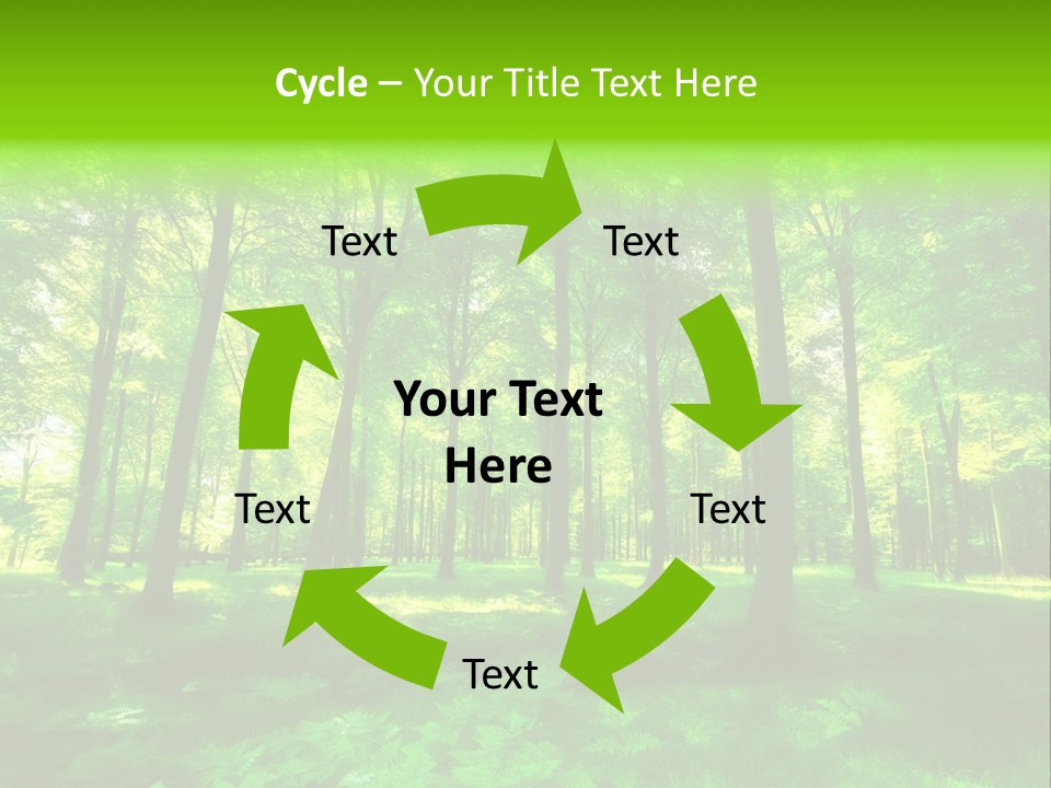 Bright Early Beautiful PowerPoint Template