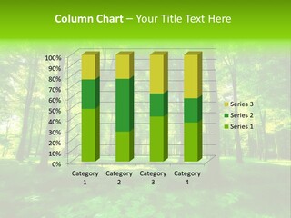 Bright Early Beautiful PowerPoint Template