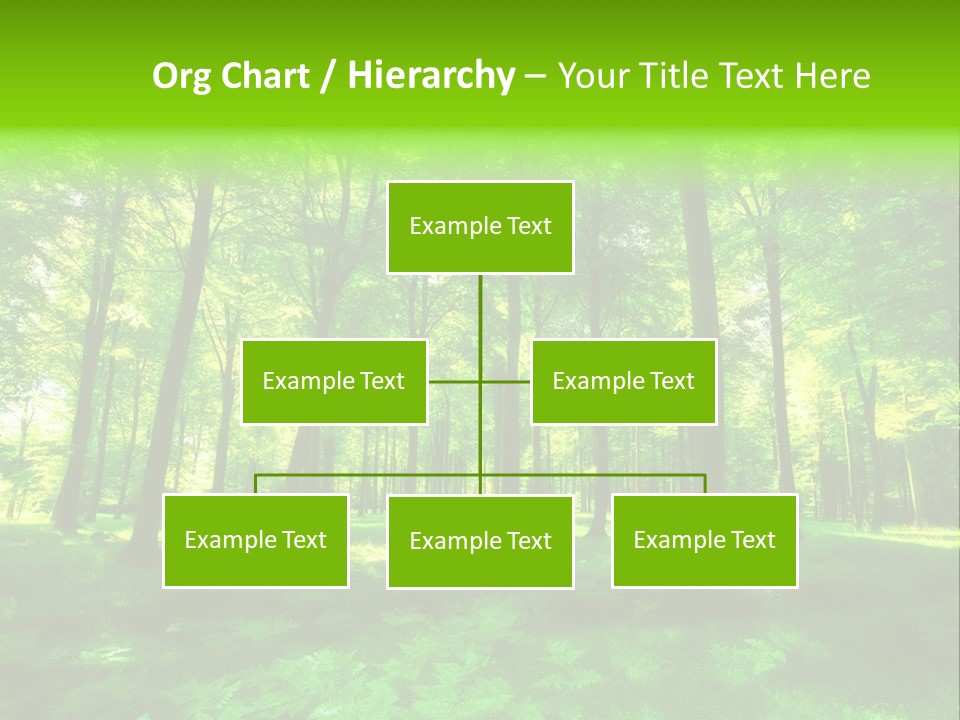 Bright Early Beautiful PowerPoint Template