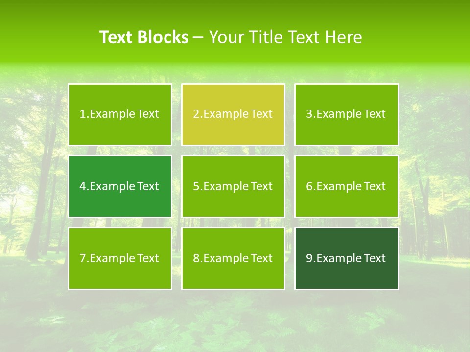 Bright Early Beautiful PowerPoint Template