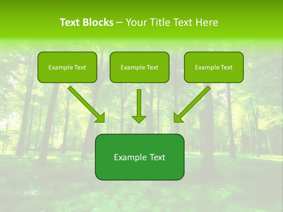 Bright Early Beautiful PowerPoint Template