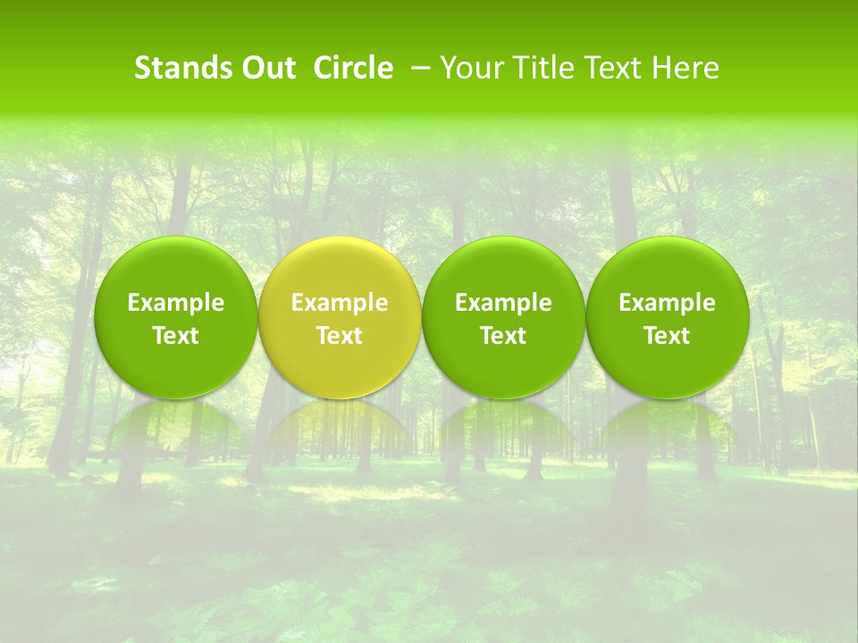Bright Early Beautiful PowerPoint Template