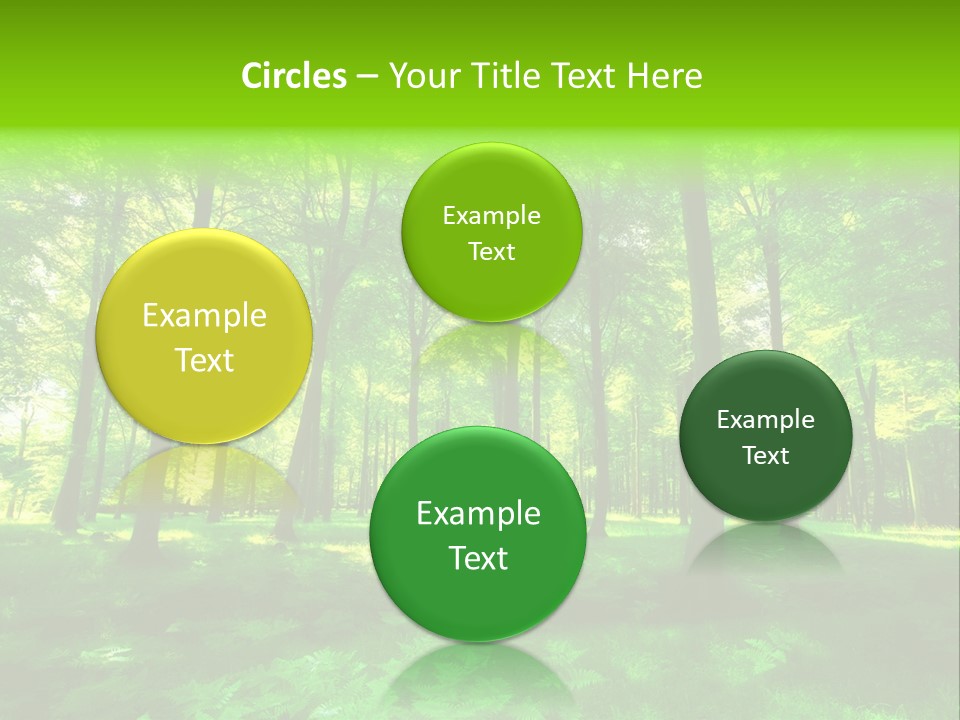 Bright Early Beautiful PowerPoint Template