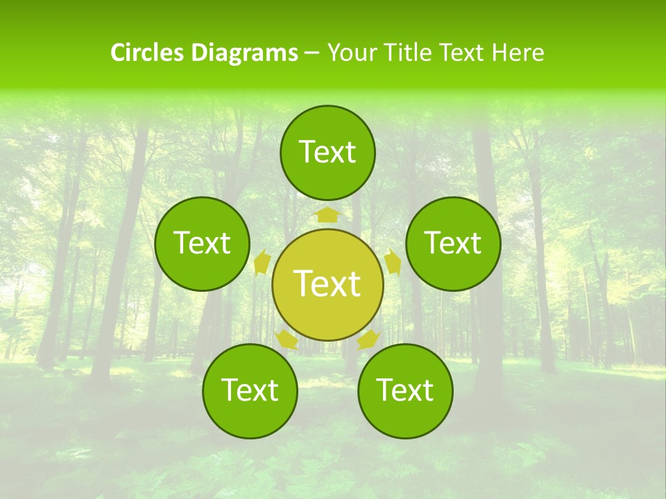 Bright Early Beautiful PowerPoint Template