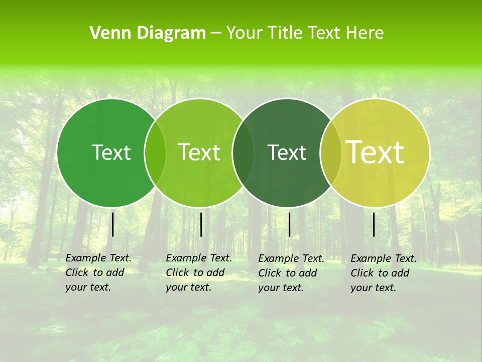 Bright Early Beautiful PowerPoint Template