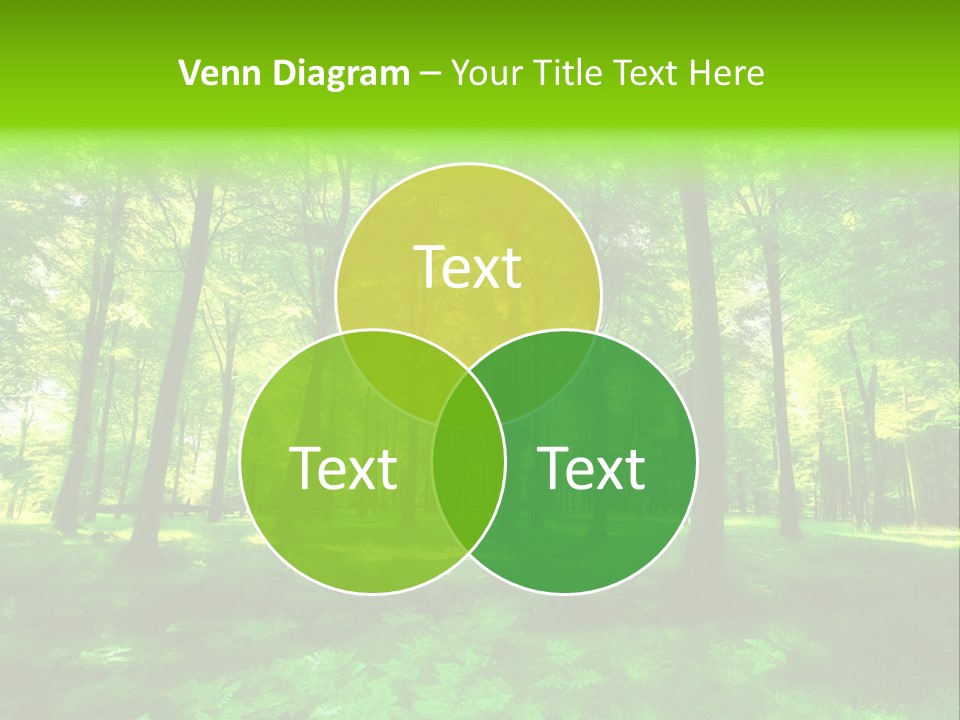 Bright Early Beautiful PowerPoint Template