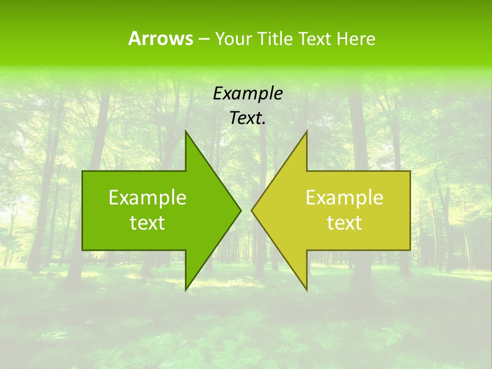 Bright Early Beautiful PowerPoint Template
