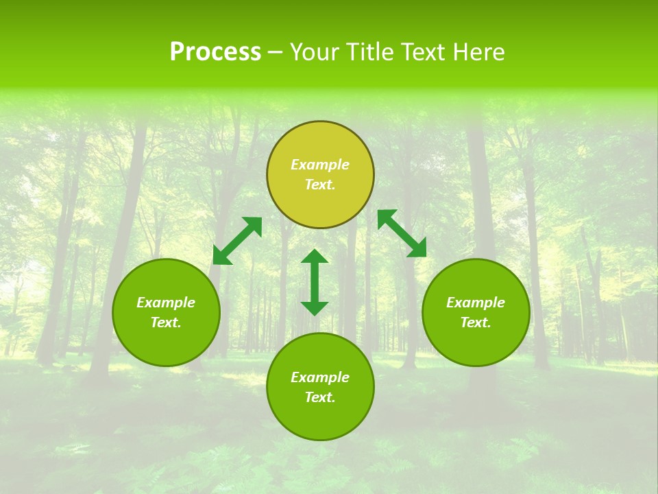 Bright Early Beautiful PowerPoint Template