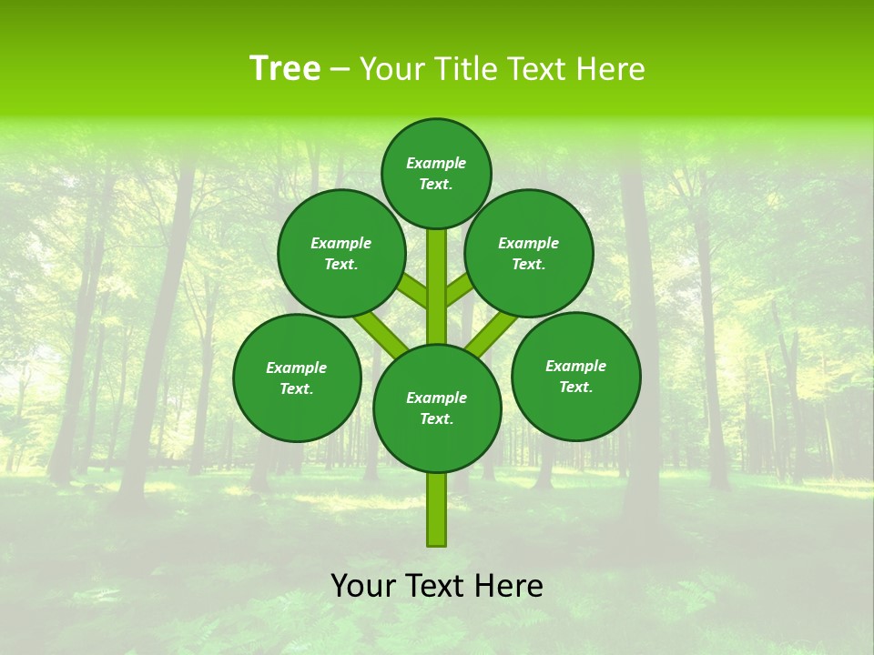 Bright Early Beautiful PowerPoint Template