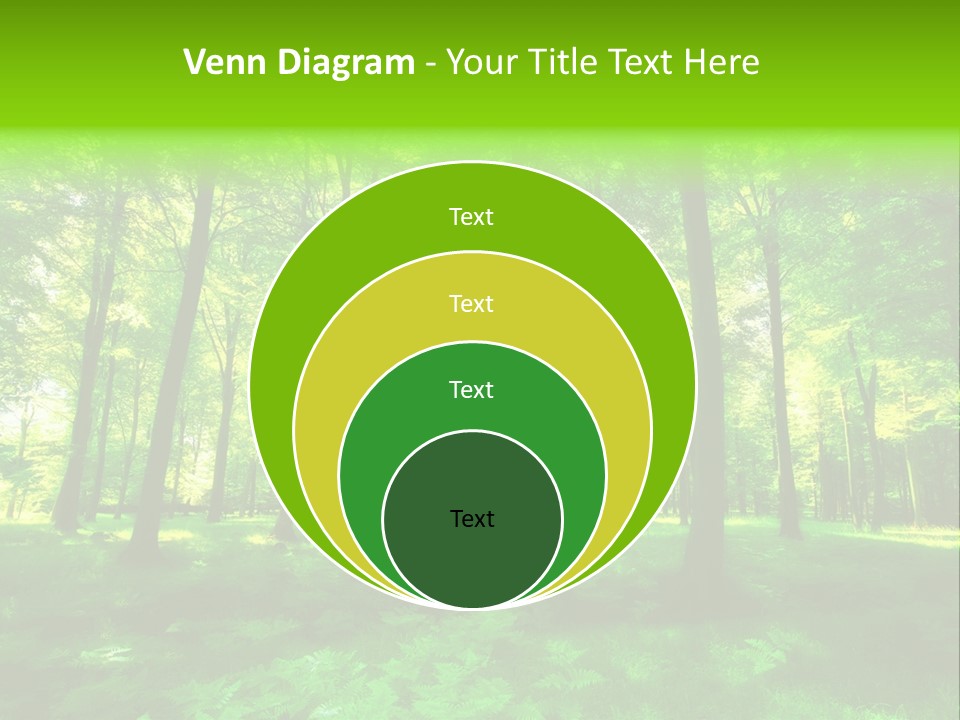 Bright Early Beautiful PowerPoint Template