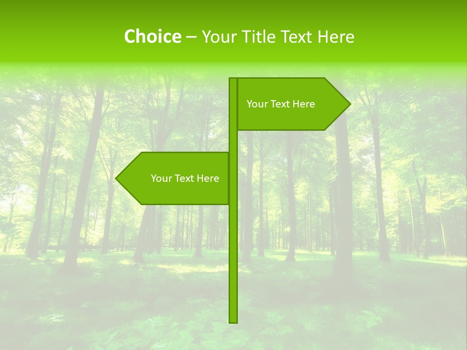 Bright Early Beautiful PowerPoint Template