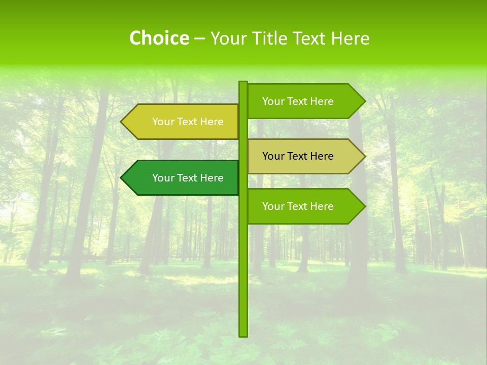 Bright Early Beautiful PowerPoint Template