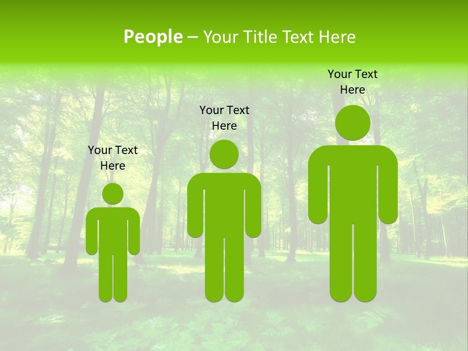 Bright Early Beautiful PowerPoint Template