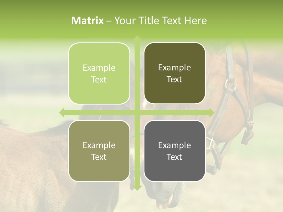 Captured Snuggle Spontanious PowerPoint Template