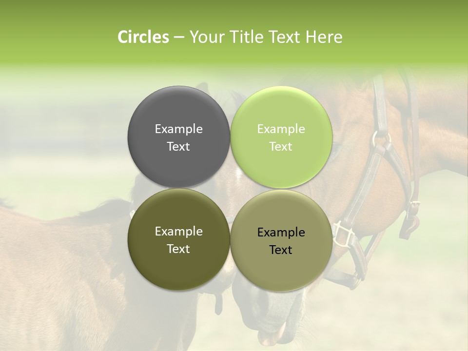 Captured Snuggle Spontanious PowerPoint Template