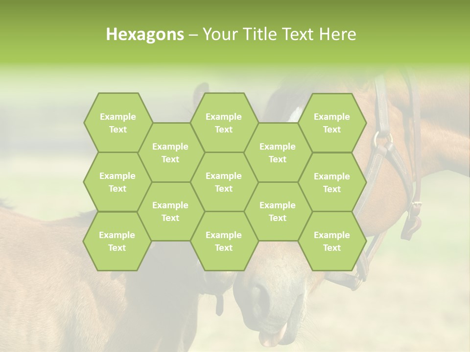 Captured Snuggle Spontanious PowerPoint Template