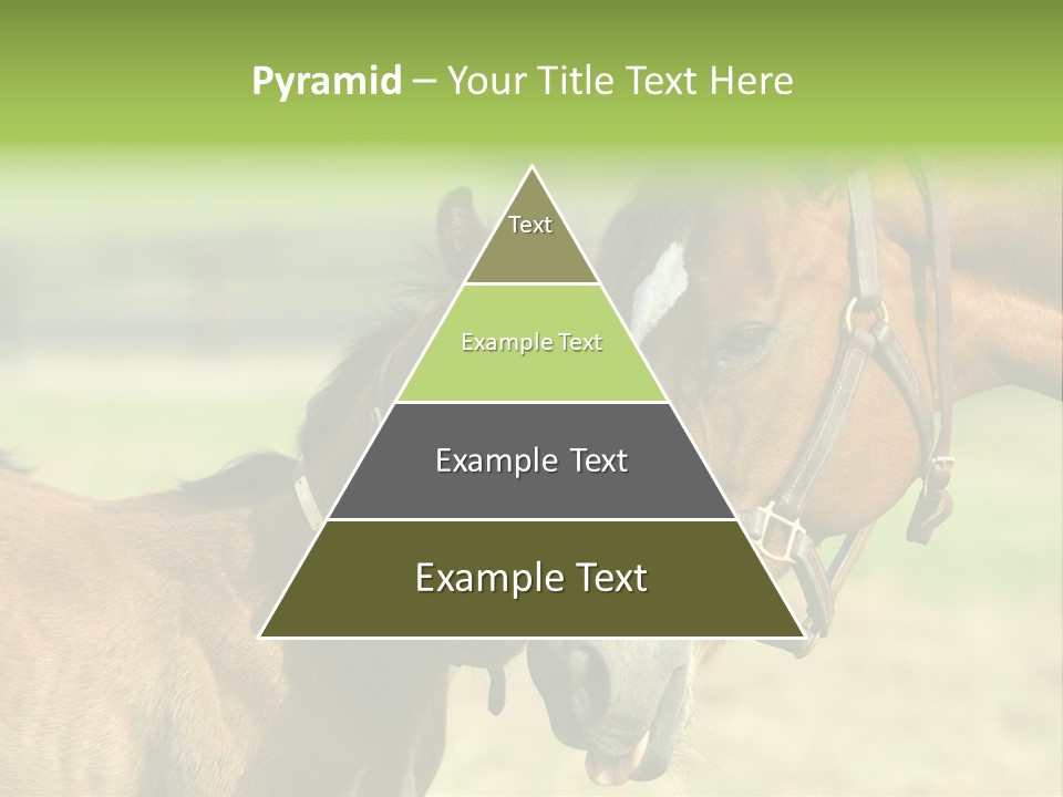 Captured Snuggle Spontanious PowerPoint Template