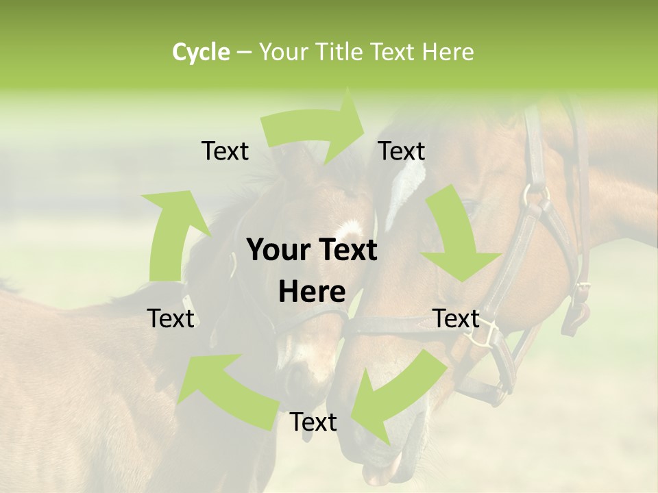 Captured Snuggle Spontanious PowerPoint Template