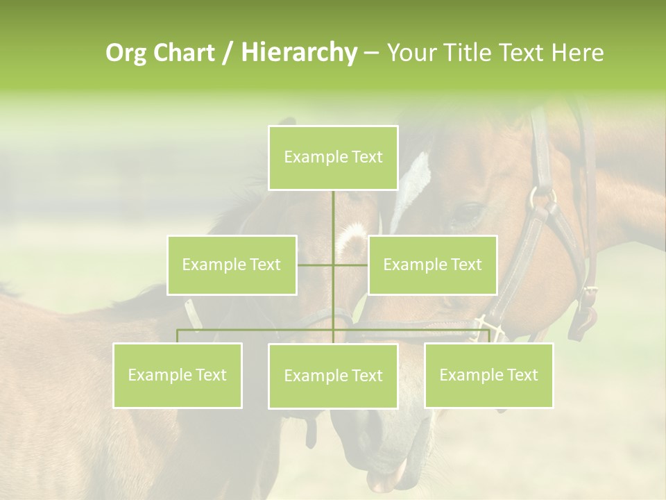 Captured Snuggle Spontanious PowerPoint Template