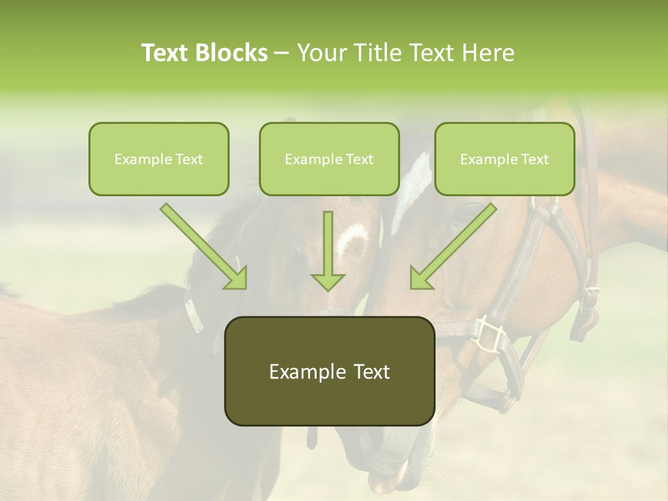 Captured Snuggle Spontanious PowerPoint Template