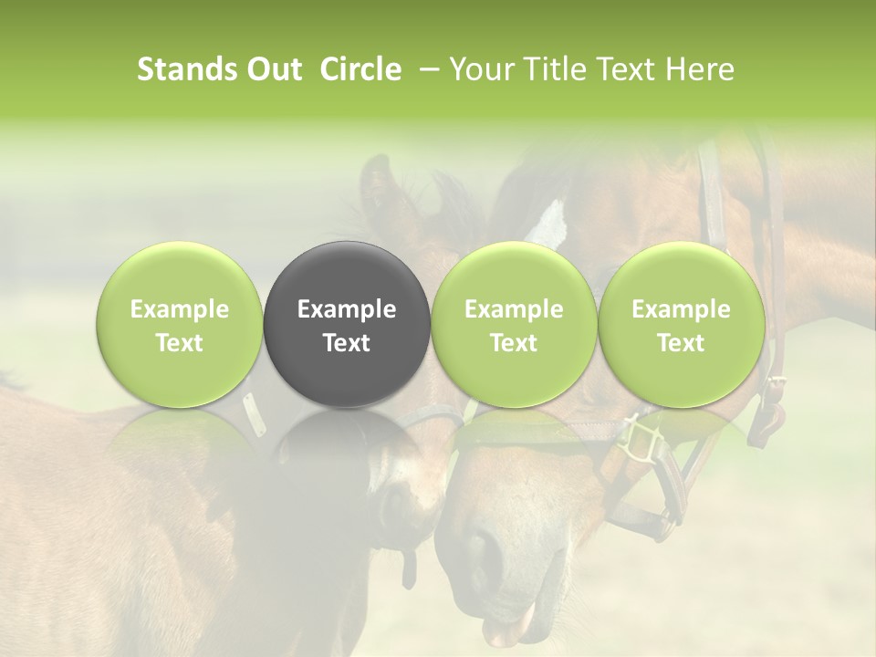 Captured Snuggle Spontanious PowerPoint Template