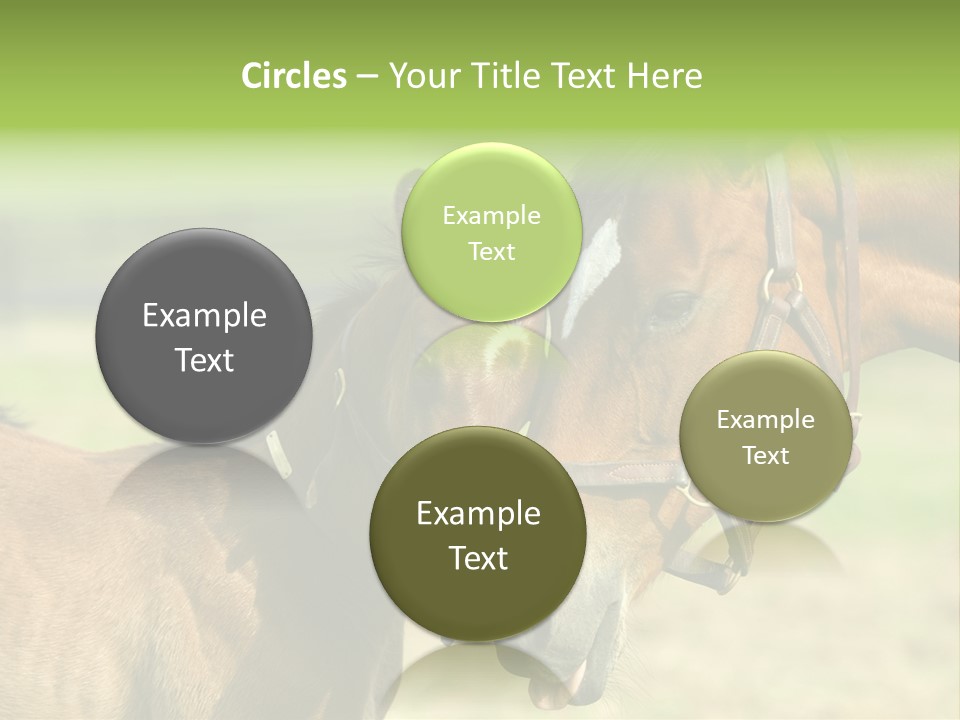 Captured Snuggle Spontanious PowerPoint Template