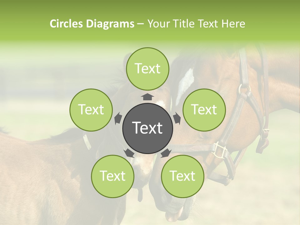 Captured Snuggle Spontanious PowerPoint Template